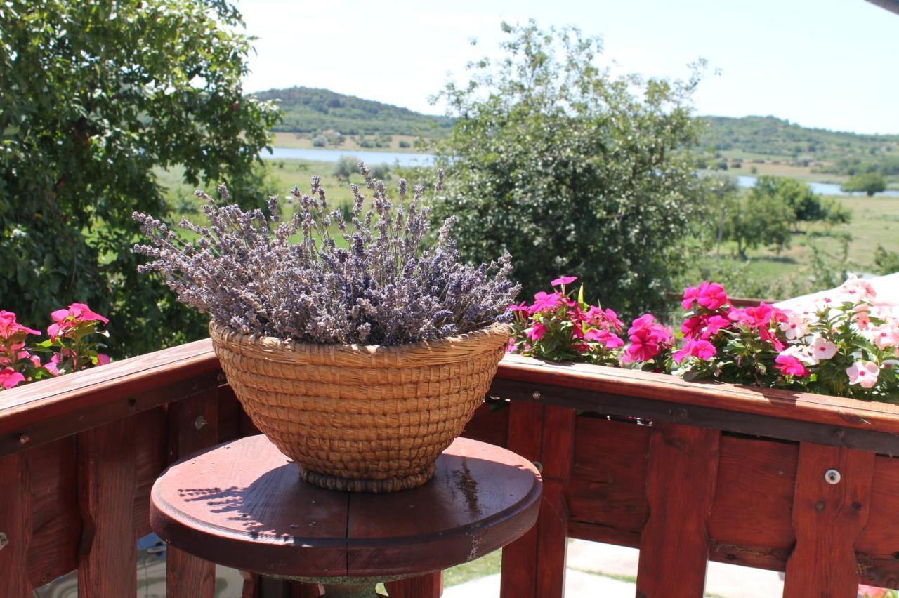 Apartman Nikol Leilighet Tihany Rom bilde